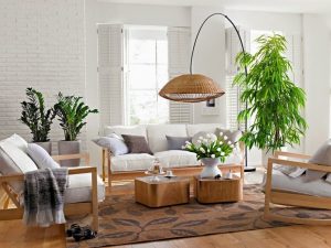 interior con plantas decorativas